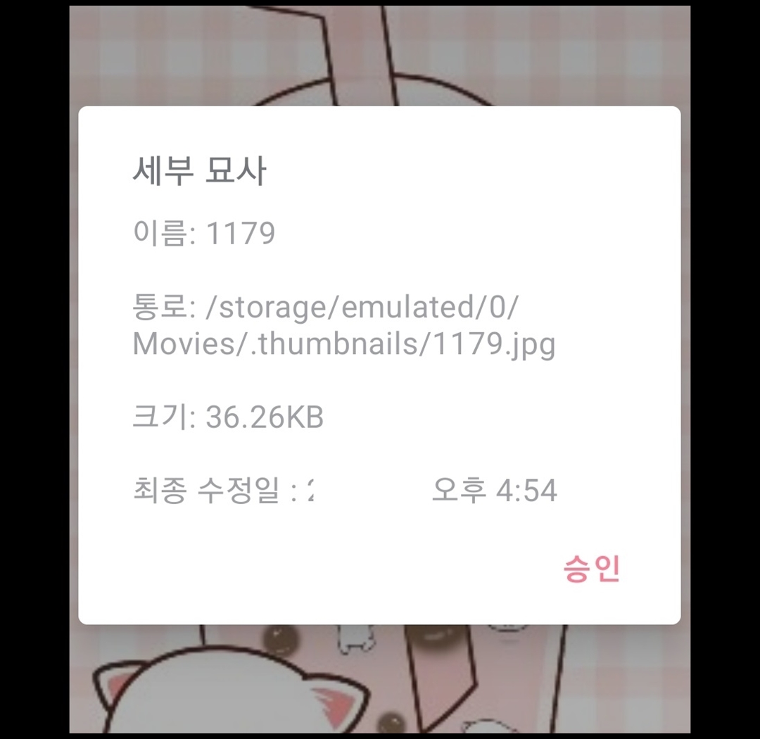 복원 된 사진 정보