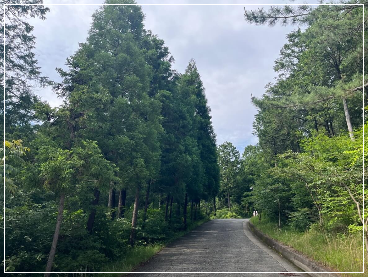 남해 가볼만한곳 베스트10 남해 편백자연휴양림