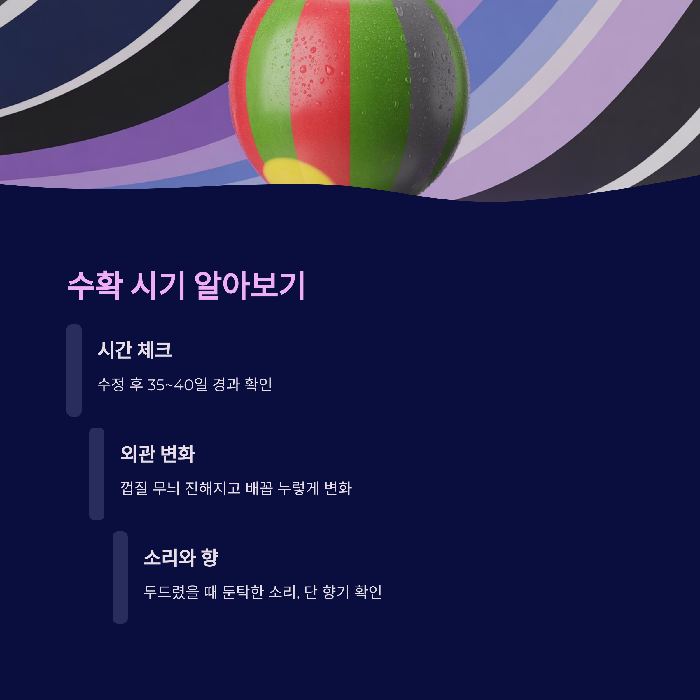 수확 시기 &ndash; 수정 후 35~40일, 껍질 무늬와 배꼽으로 판단