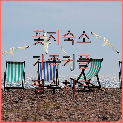 안면도 꽃지해수욕장 근처 펜션 호텔 ..