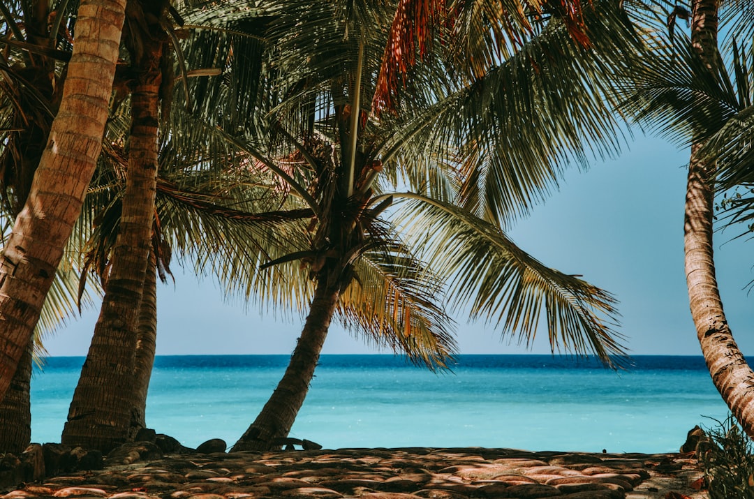 'Vacation'