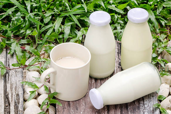 산양유초유단백질