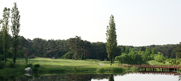 샌드파인cc전경2