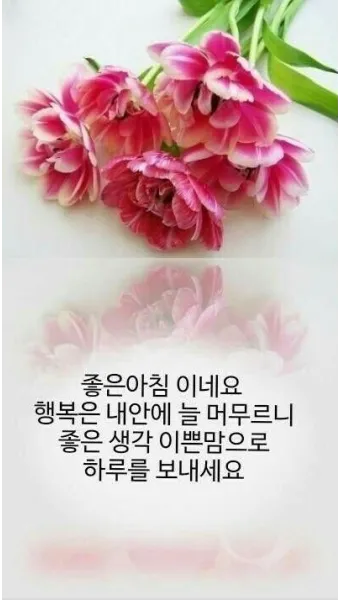 아침인사 이쁜글 다운로드_7