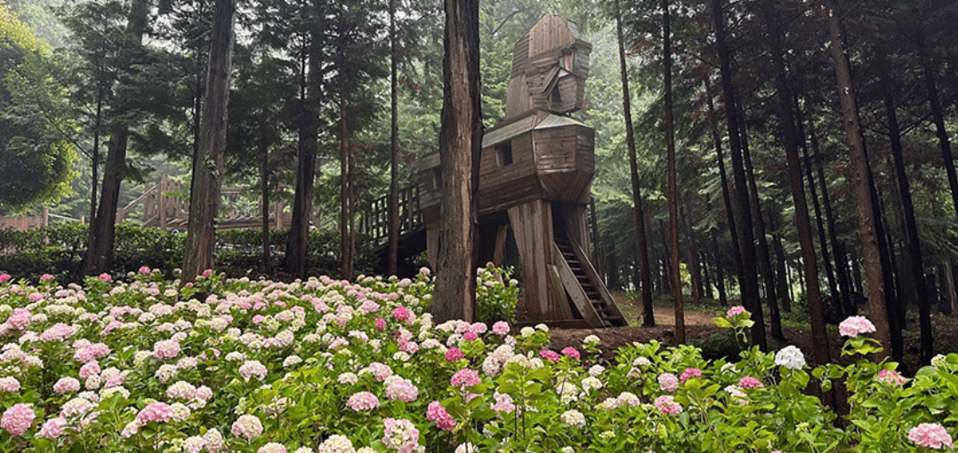 우드랜드 썸네일