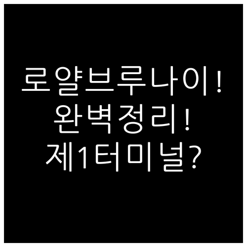 인천공항 로얄브루나이항공 제1터미널 ..