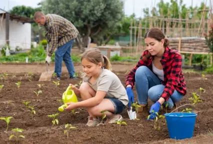 야채와 친해지는 텃밭 가꾸기