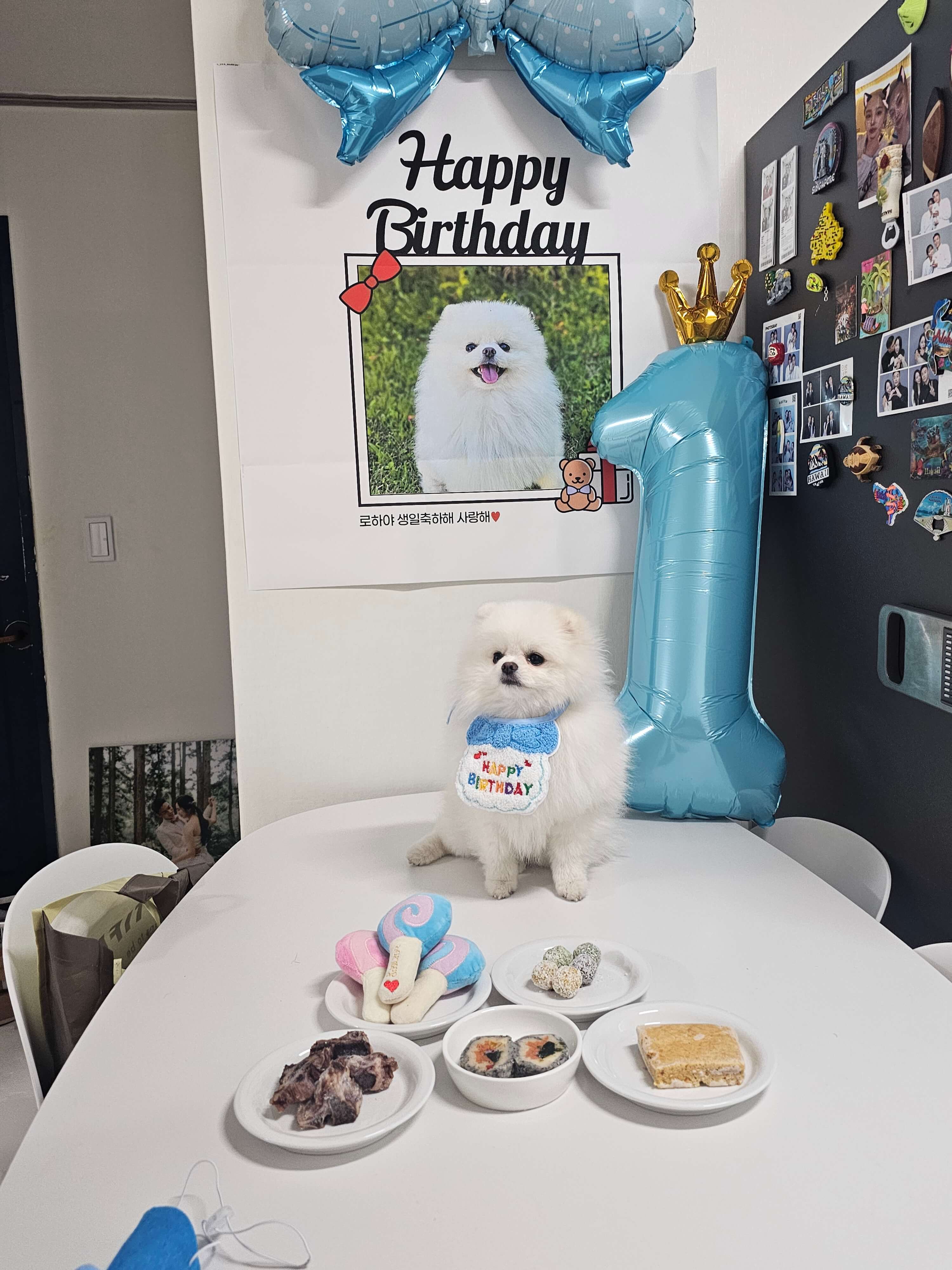 강아지-수제-간식