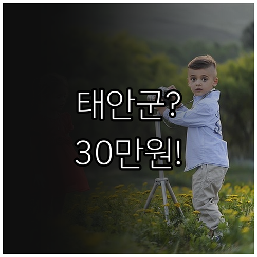 태안군 청년월세 지원 월 30만원 받..