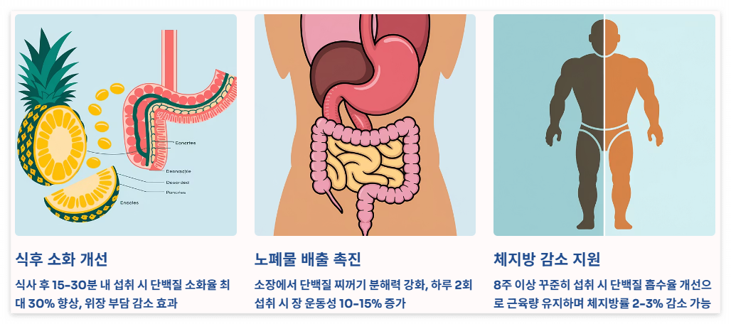 다이어트와 체중관리