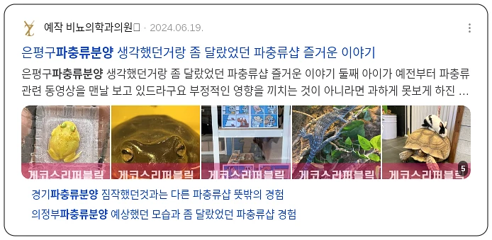 파충류 분양_2_subsection