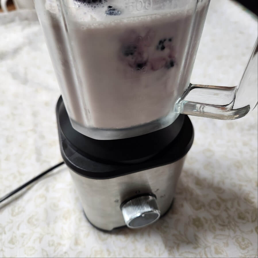 오디 효능 오디 맛있게 먹는법 오디 스무디 오디 쥬스