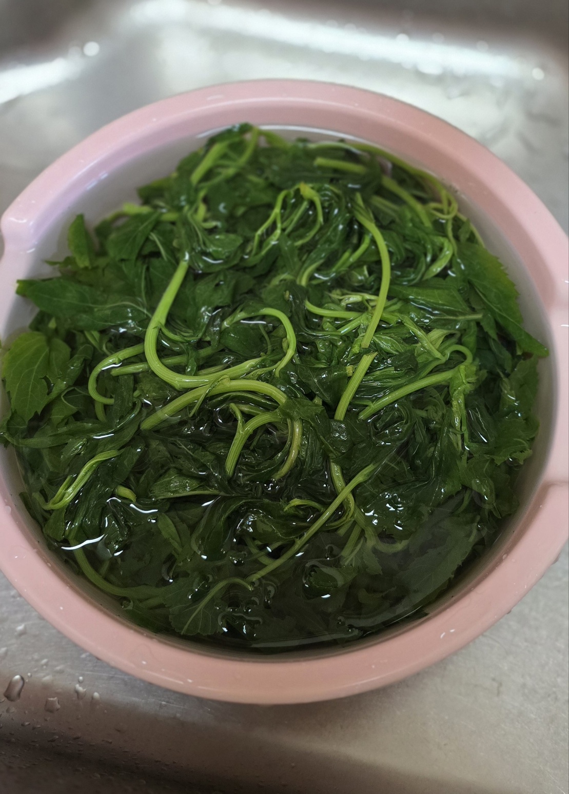 봄나물 이미지 사진