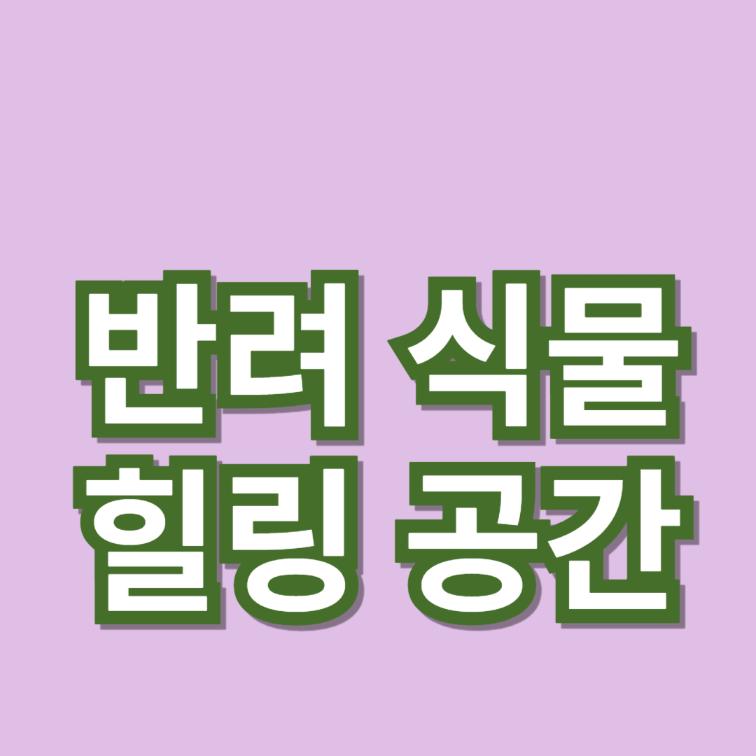 반려 식물과 함께하는 힐링 공간 만들기