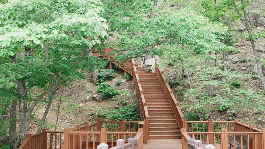 국립자연휴양림 성수기 예약