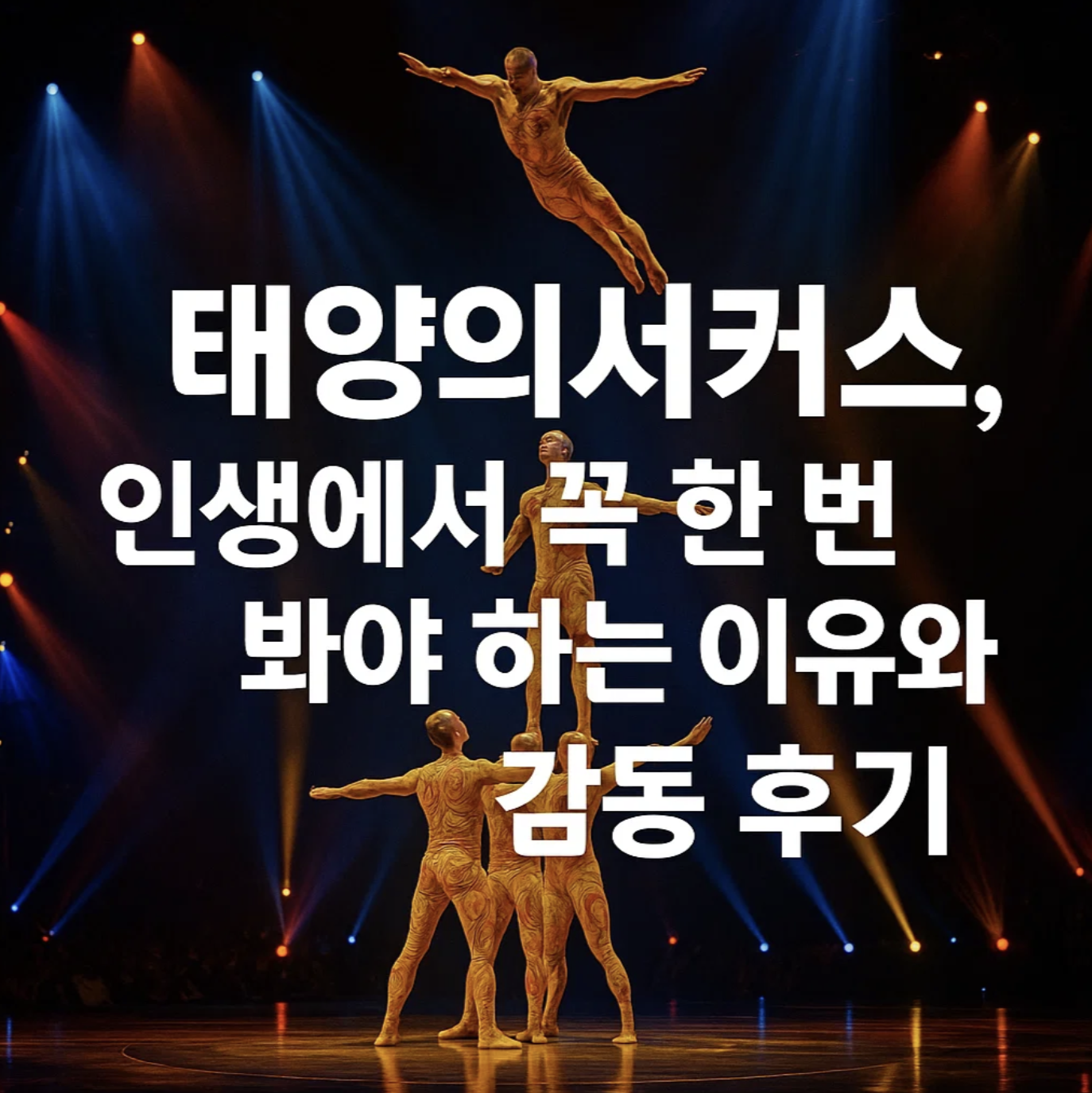 태양의서커스, 인생에서 꼭 한 번 봐야 하는 이유와 감동 후기