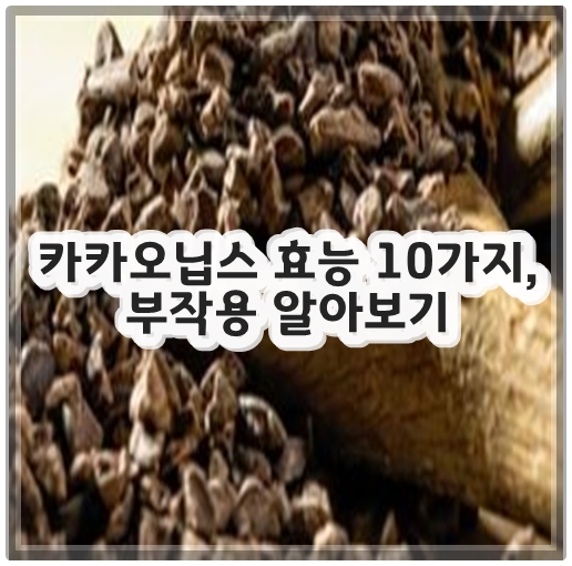 카카오닙스 효능 10가지, 부작용 알아보기