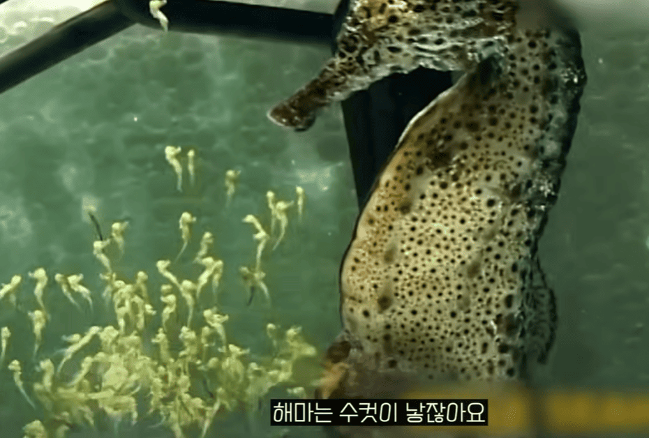 이정모 관장이 들려주는 성, 생명, 그리고 죽음의 진화 이야기