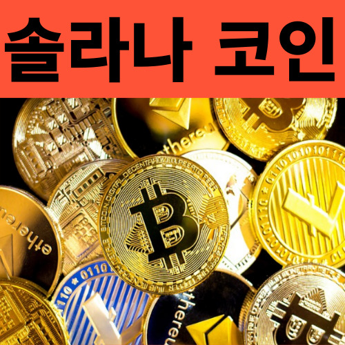 솔라나-코인-기반-밈코인-시세-전망-거래소