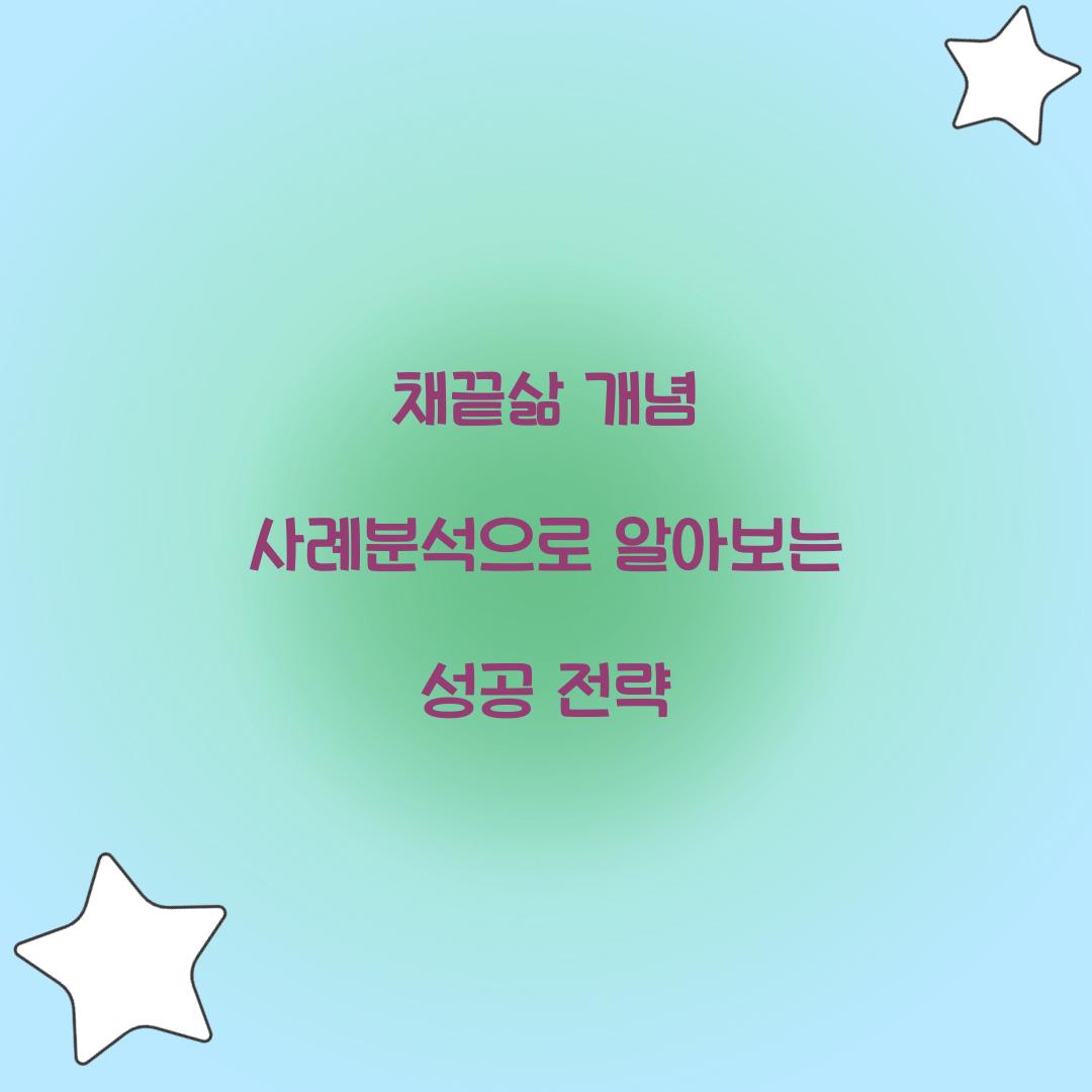 채끝삶 개념 사례분석