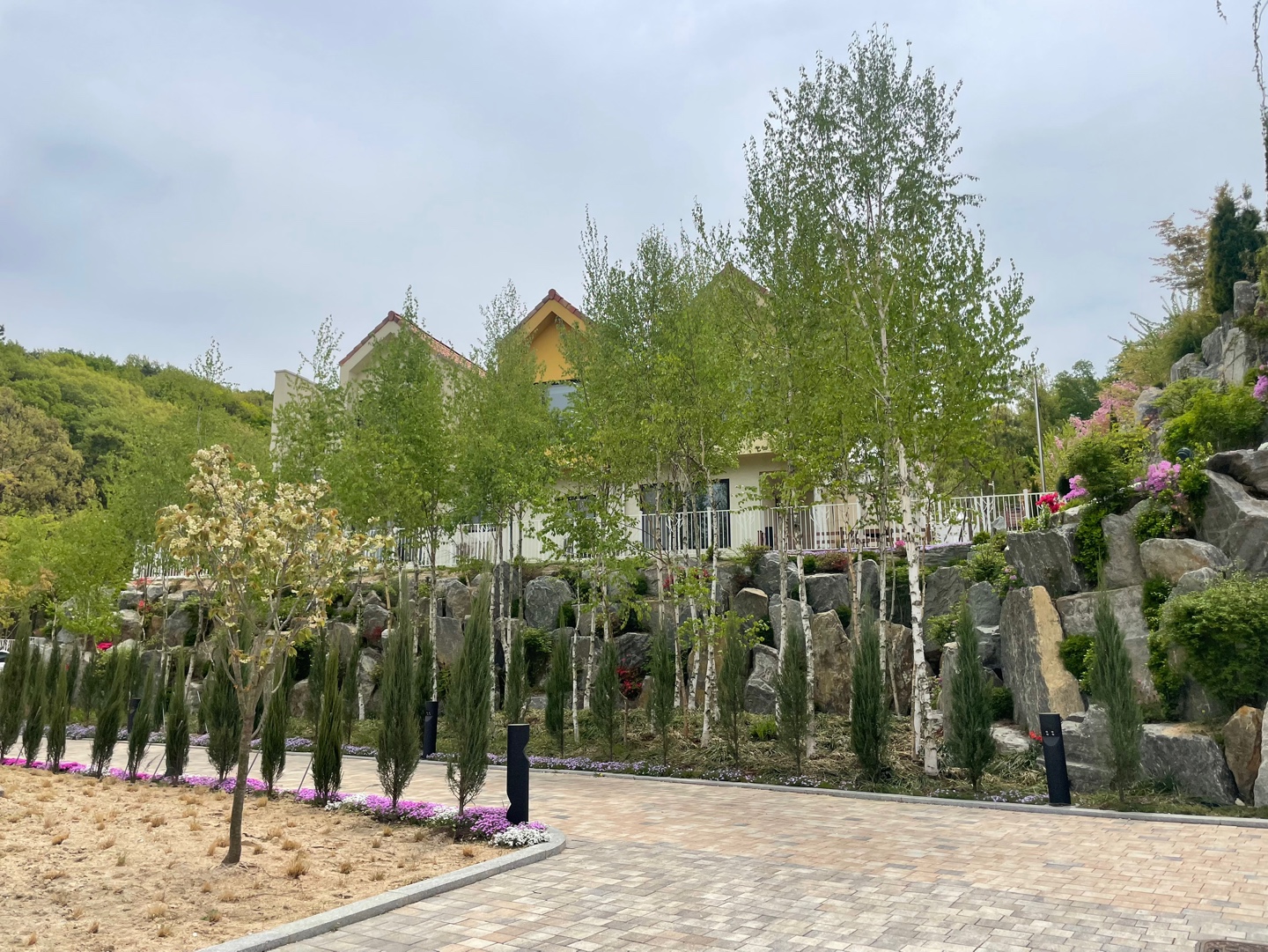 용인 자작나무숲 베툴라 대형 베이커피 카페