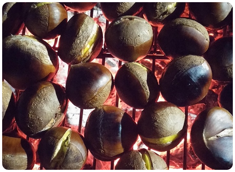 주의사항, 자주 묻는 질문