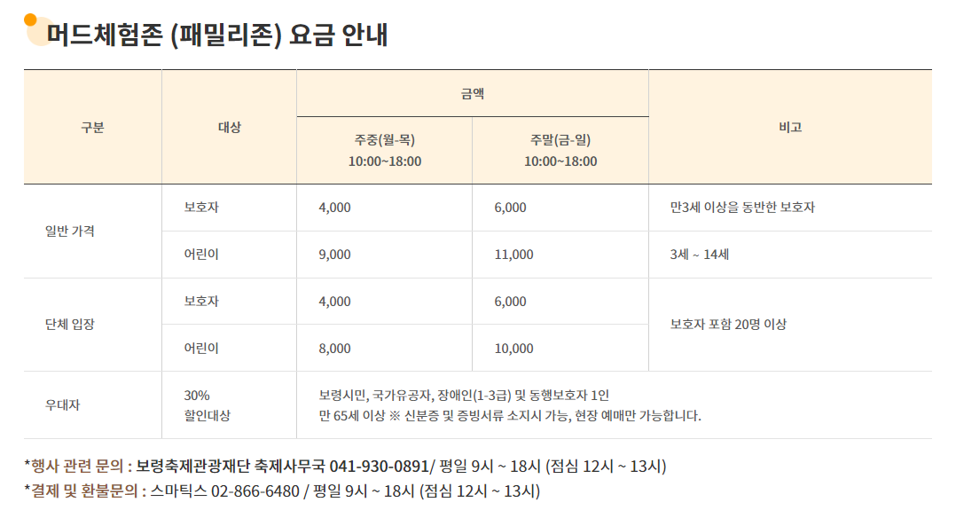 보령 머드축제 입장권