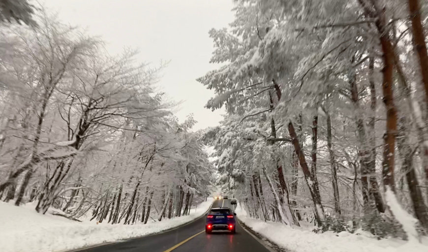 한라산눈꽃버스 운행 한라산 겨울 여행