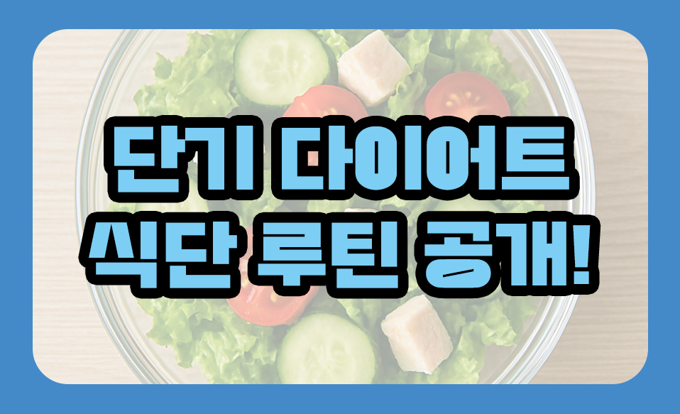 단기 다이어트 식단 루틴 공개!