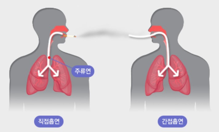 간접흡연