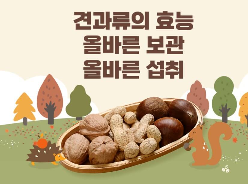 견과류썸네일