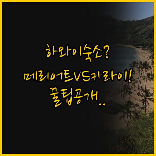 2025년 하와이 숙소 선택의 모든 ..