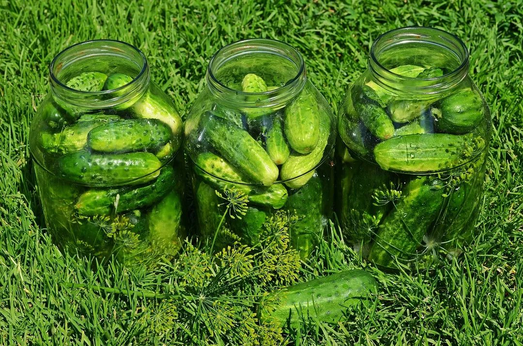 여름철 온열질환 예방 식단 구성법