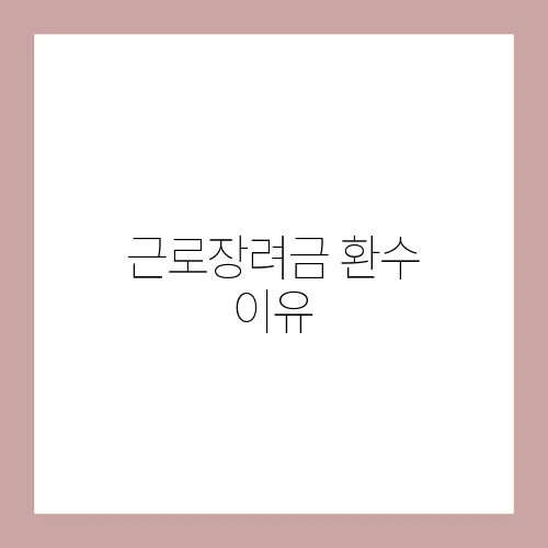 근로장려금 환수 이유