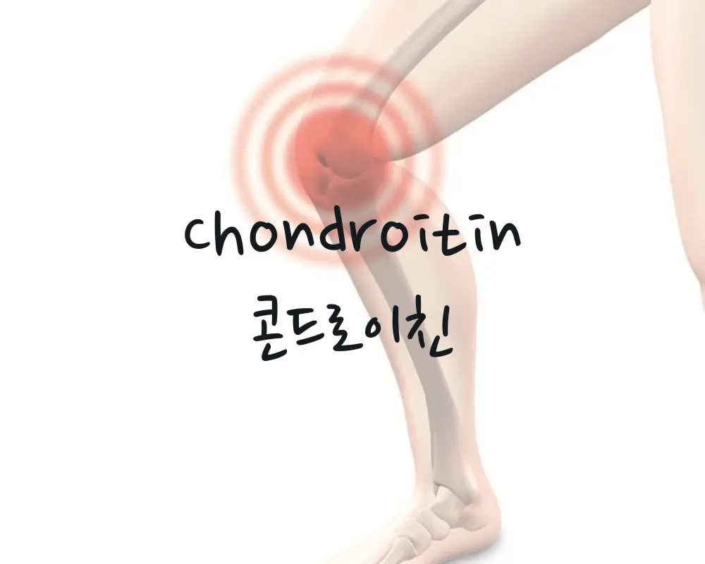 관절 건강 콘드로이친