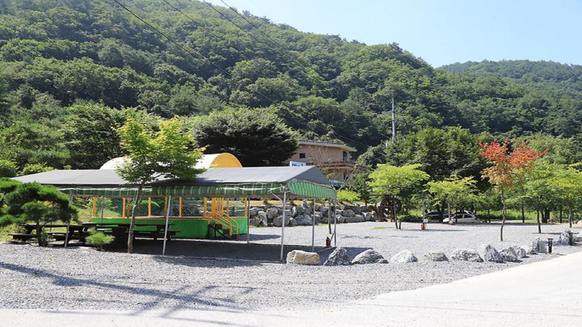 영월군 올리브 그린 펜션 글램핑 예약 바로가기