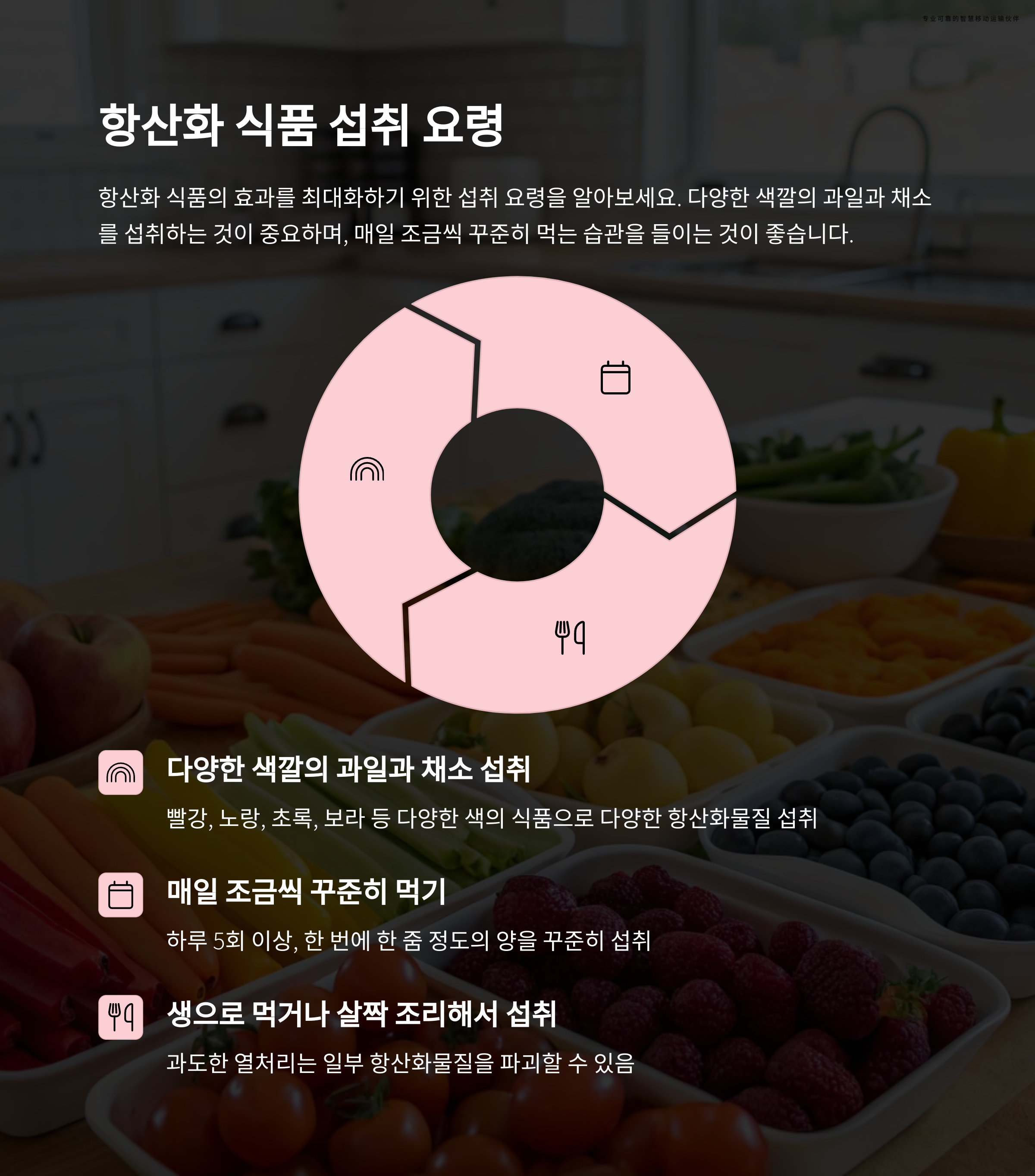 항산화물질9