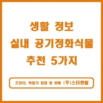 실내화분 환기 요령 미세먼지 많은날 창문관리 공기청정기 병행 팁_10