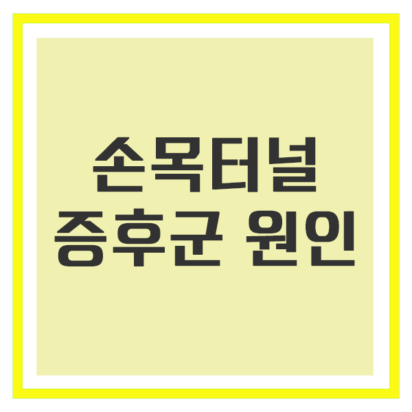 손목터널증후군 원인