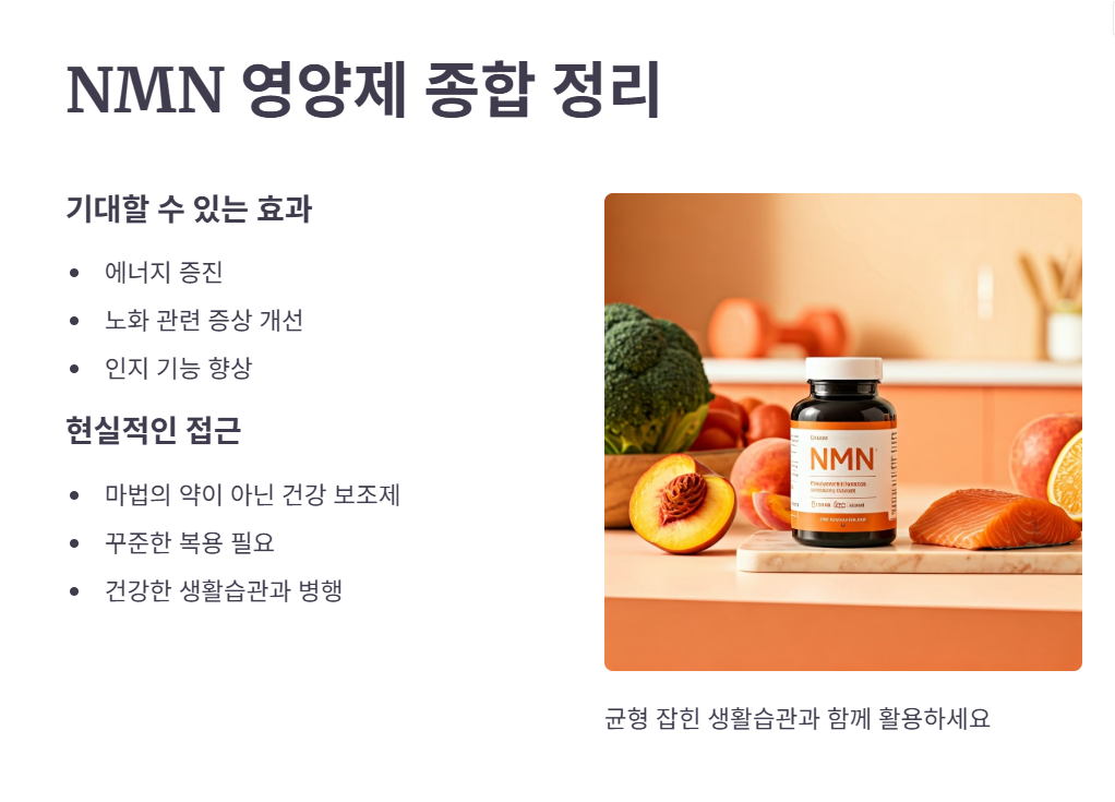 NMN 영양제 최종 점검!