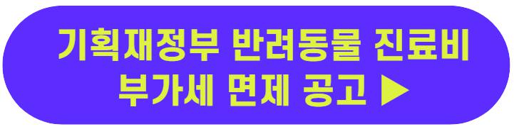 반려동물
