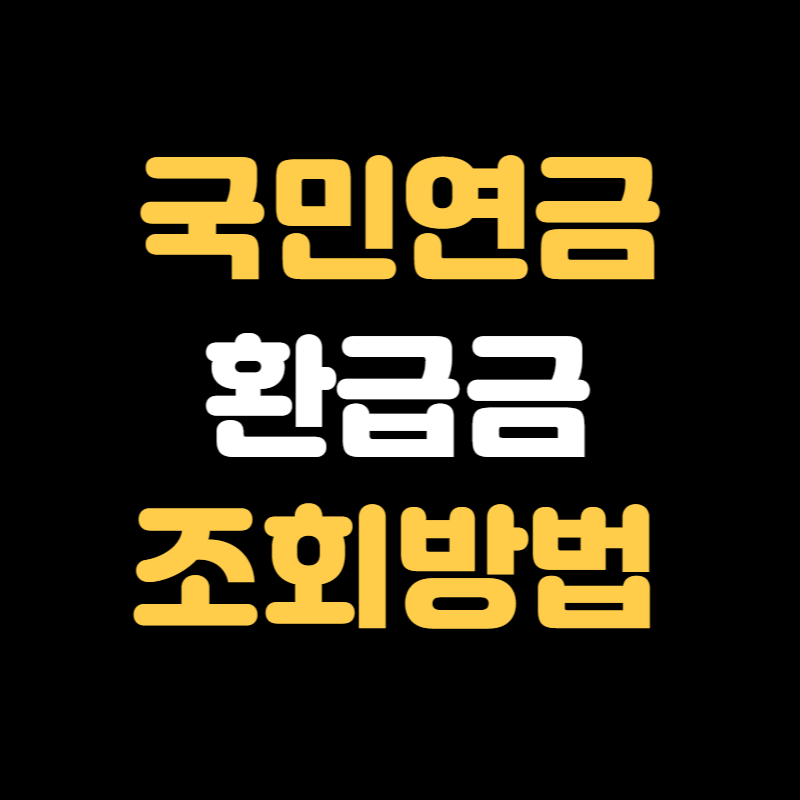 국민연금 환급금 조회