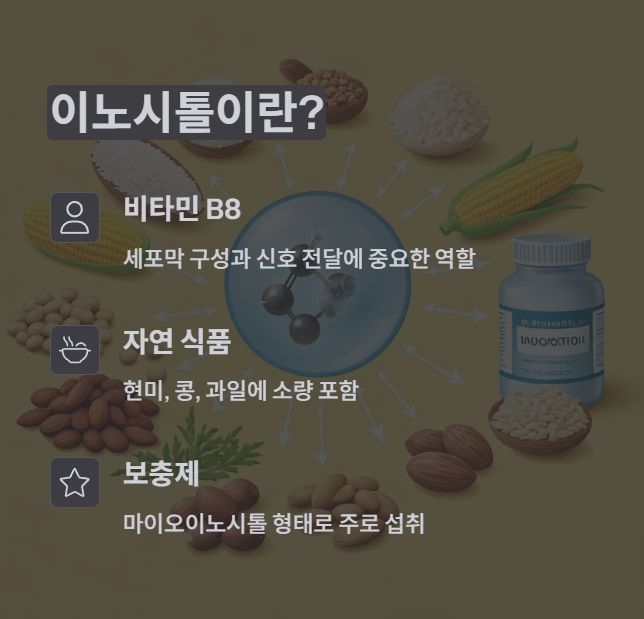 이노시톨 정의