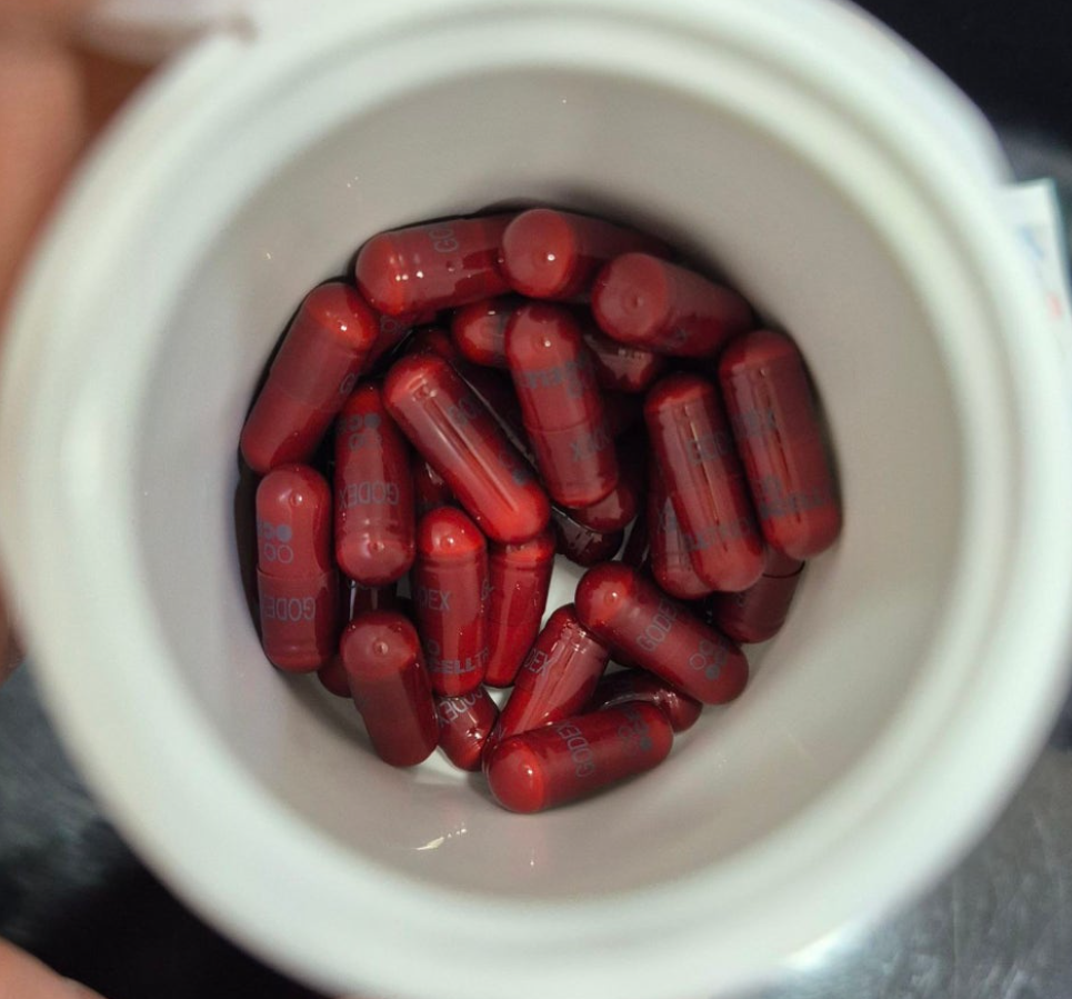 실제 사용자 내돈내산 후기