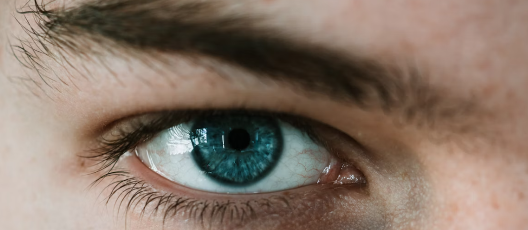 눈 건강 관리 방법