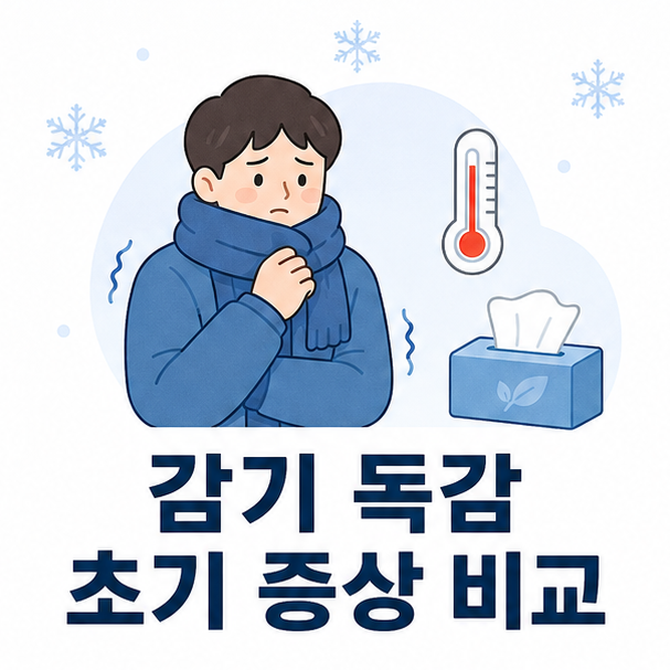 겨울옷을 입은 사람과 체온계, 휴지 아이콘으로 표현한 감기와 독감 초기 증상 비교 안내