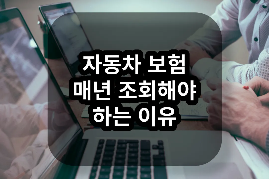 다이렉트 자동차 보험 매년 비교해야 하는 이유