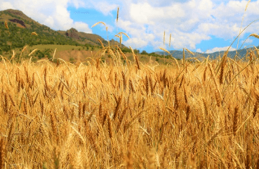 농촌 체류형 쉼터