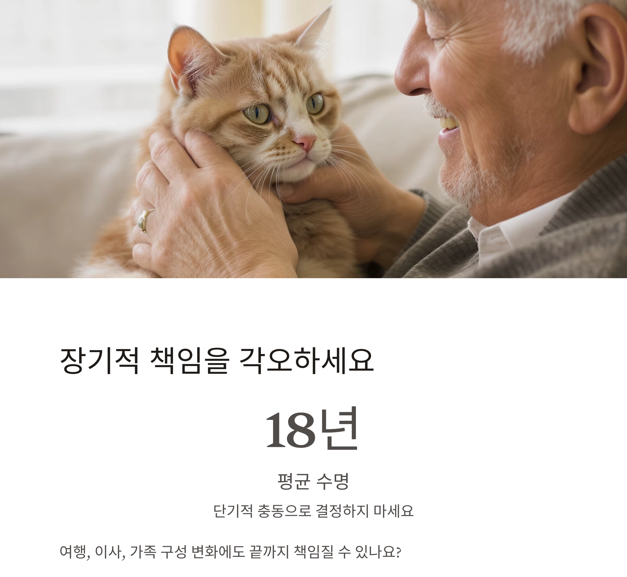 후회 없는 선택을 위한 고양이 입양 전 체크리스트