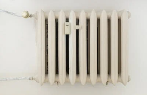 기초생활수급자